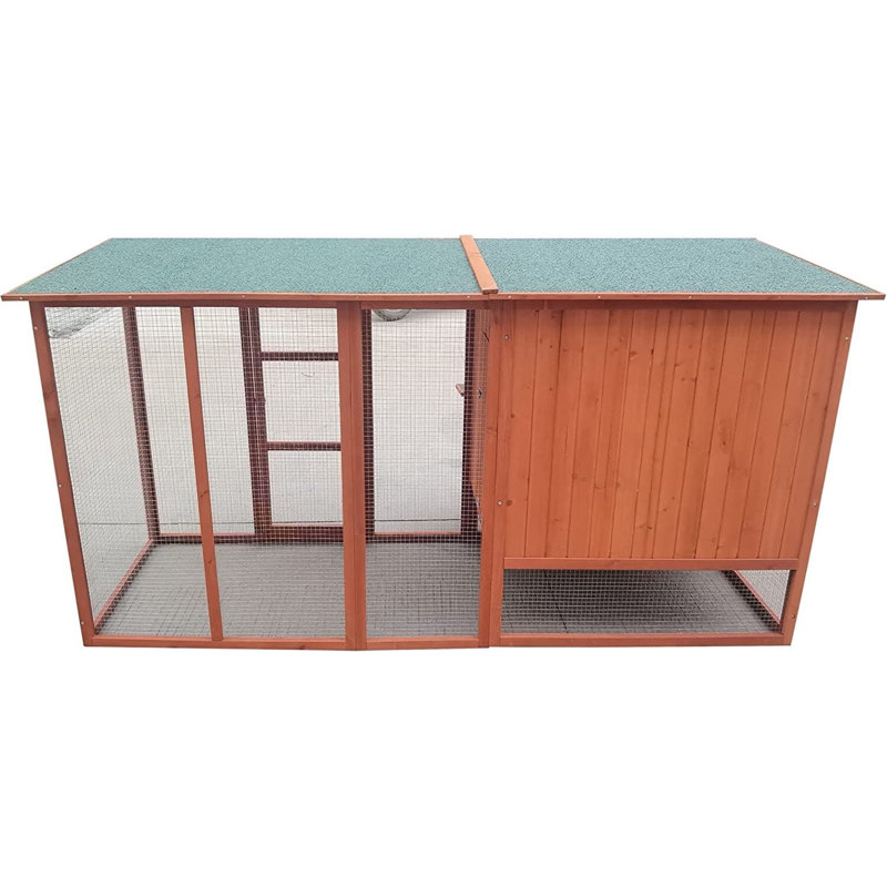 Tucker Murphy Pet™ Daliyah 18.2 Square Feet Chicken Coop with Chicken